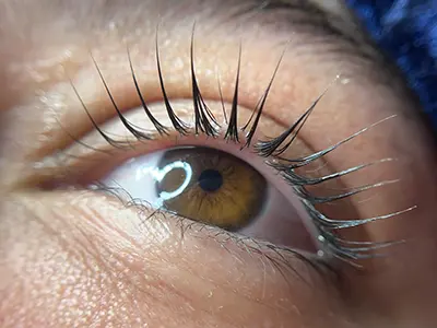 A close-up of beautifully lifted lashes showcasing a natural curl and enhanced volume.