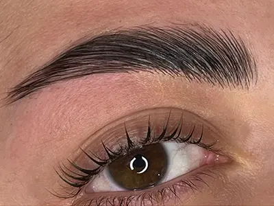 A close-up image of perfectly styled brows after brow lamination treatment, showcasing fullness and lift.